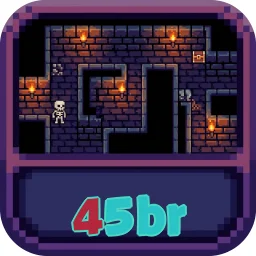 45br