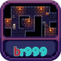 br999
